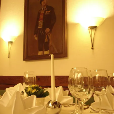 ゲストハウス Einhorn Schaller シュヴァーツ