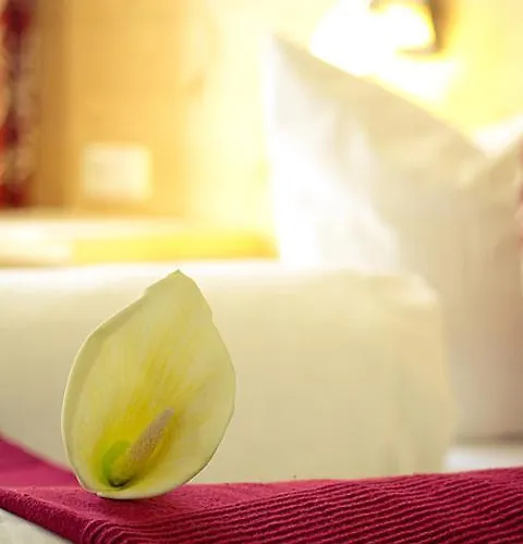 Einhorn Schaller Vendégház