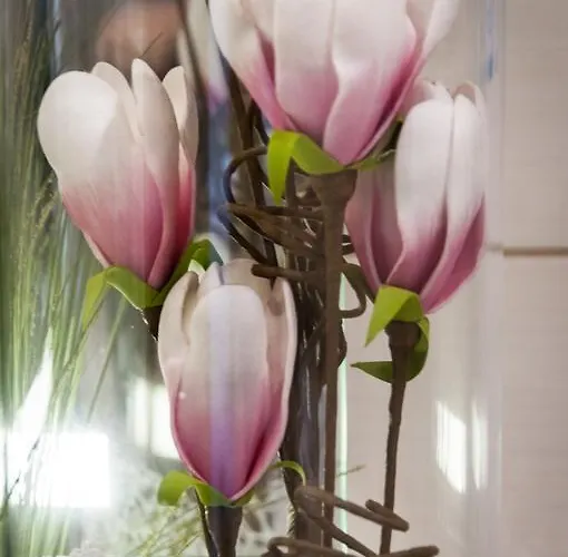 Einhorn Schaller Vendégház Schwaz