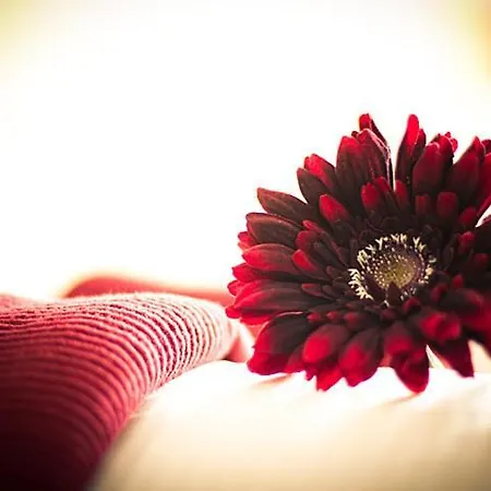 Einhorn Schaller 3* 쇼와즈