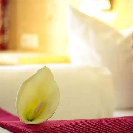 Einhorn Schaller 게스트하우스