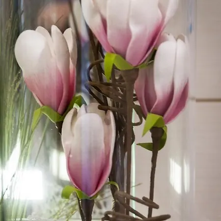 Einhorn Schaller 게스트하우스 쇼와즈