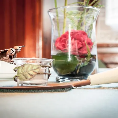 Einhorn Schaller 게스트하우스 3*