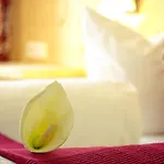 Einhorn Schaller Penzion
